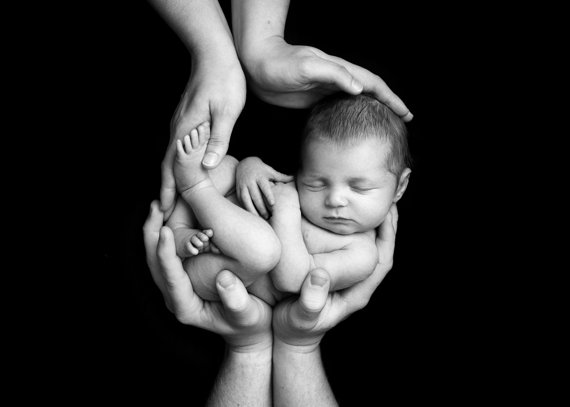 black and white photo of baby curled up in mum and dads hands photographed in Kent